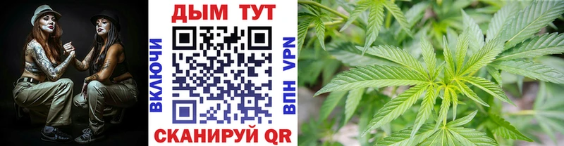 Купить закладку Метадон  Мефедрон  ГАШ  Каннабис  Ступино