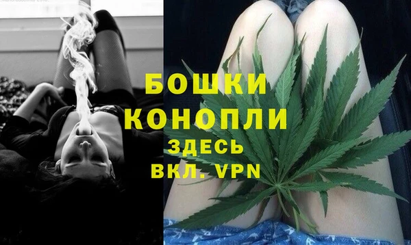 ГАЛЛЮЦИНОГЕННЫЕ ГРИБЫ Верея