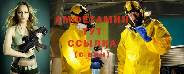 ГАЛЛЮЦИНОГЕННЫЕ ГРИБЫ Верея