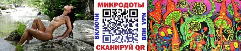 Купить где  Ступино  Галлюциногенные грибы Cubensis 